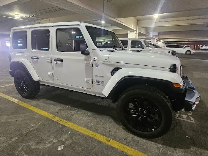 Alamo Rent A Car Picture 5