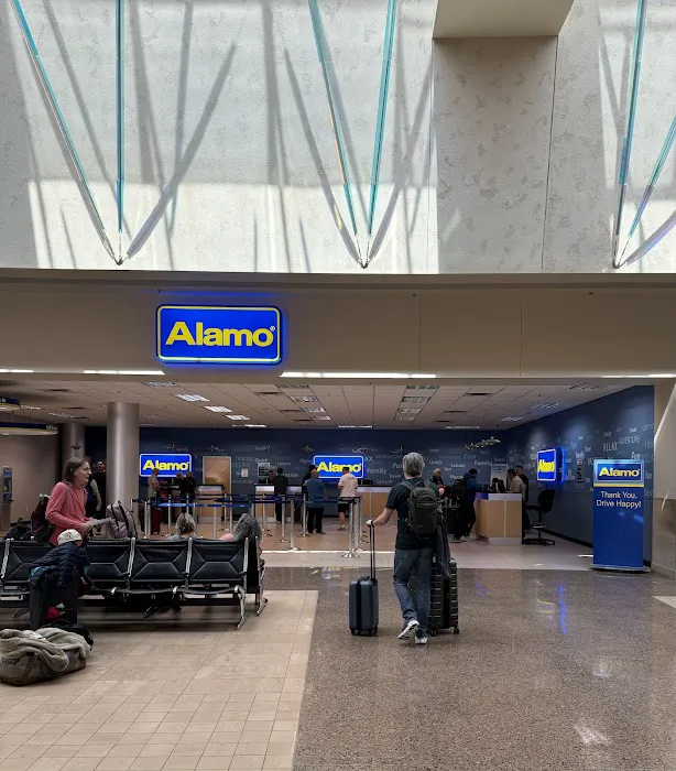 Alamo Rent A Car Picture 10