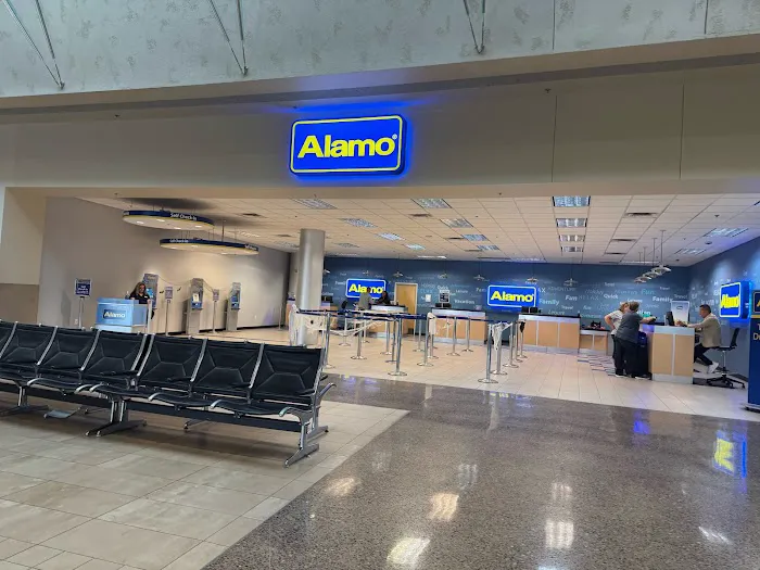 Alamo Rent A Car Picture 6