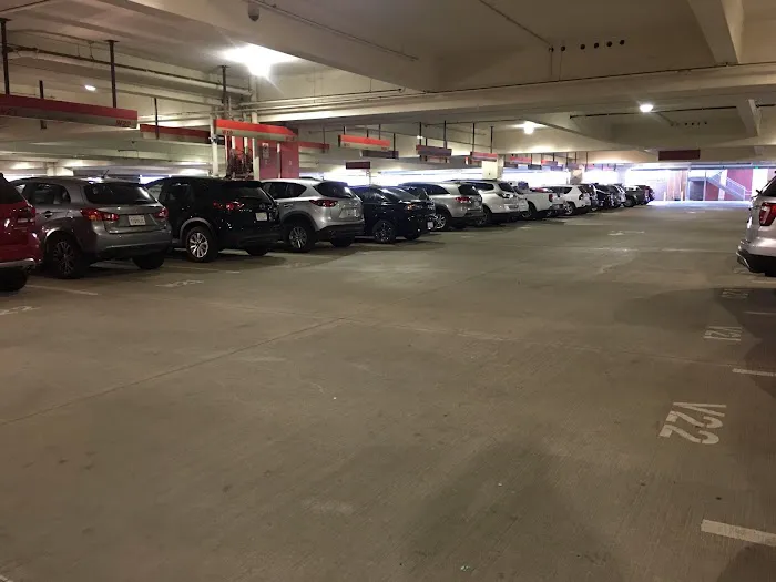 Payless Car Rental Picture 4