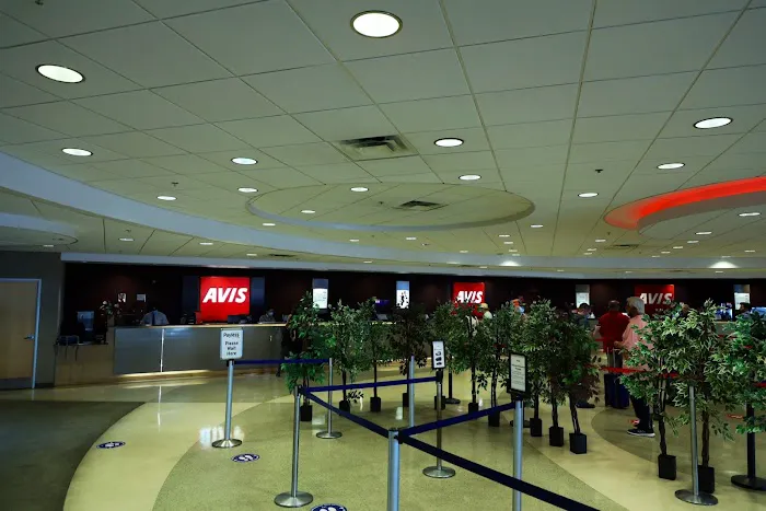 Avis Car Rental Picture 8