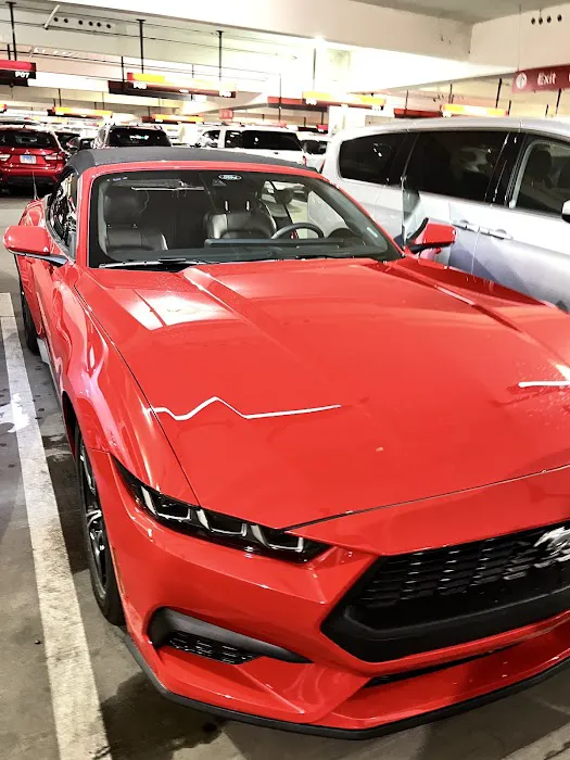 Avis Car Rental Picture 10