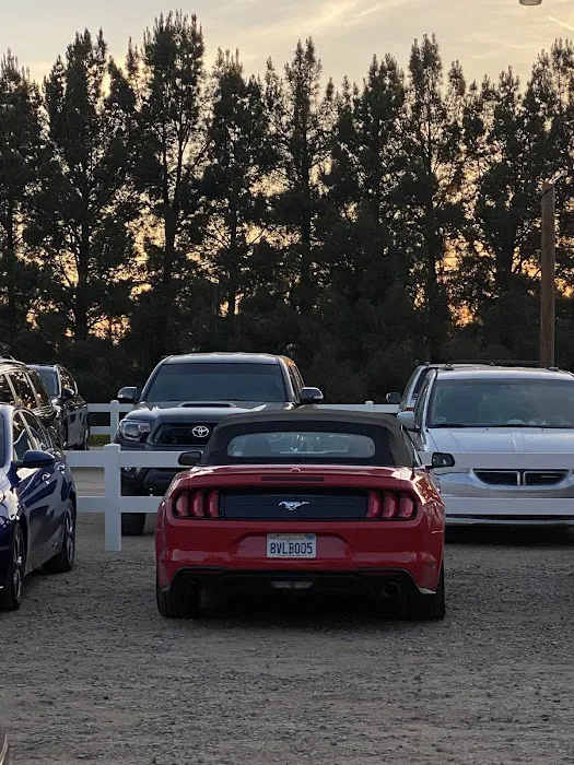 Budget Car Rental Picture 10