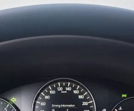Avis Car Rental