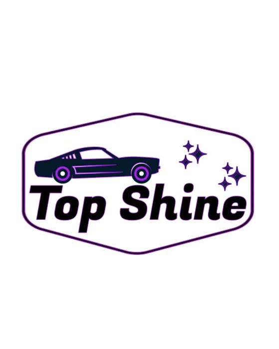 Top Shine Fleet Picture 7