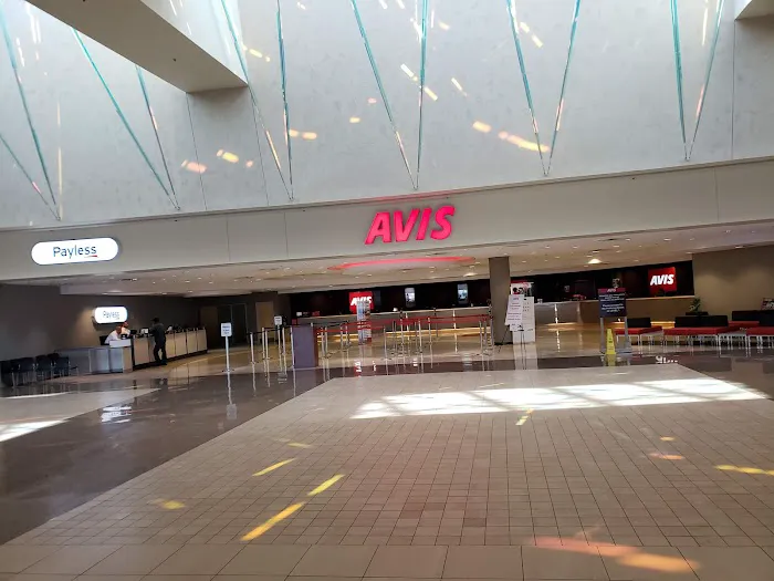 Avis Car Rental Picture 4