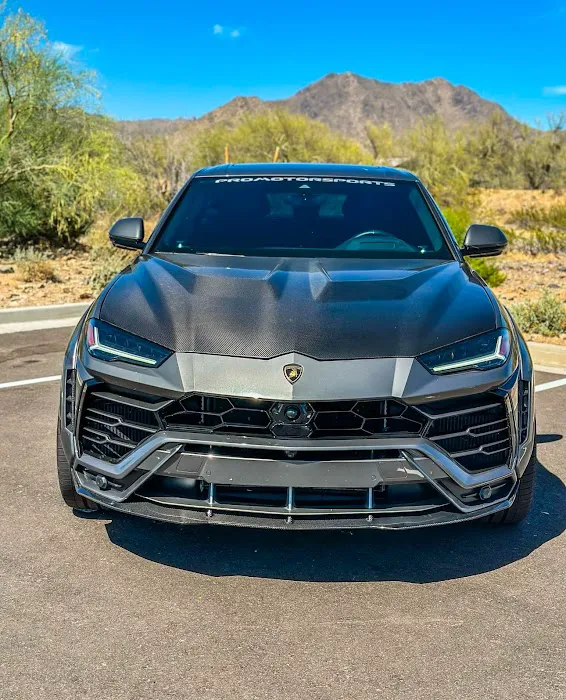 Desert Luxe Exotics Picture 4