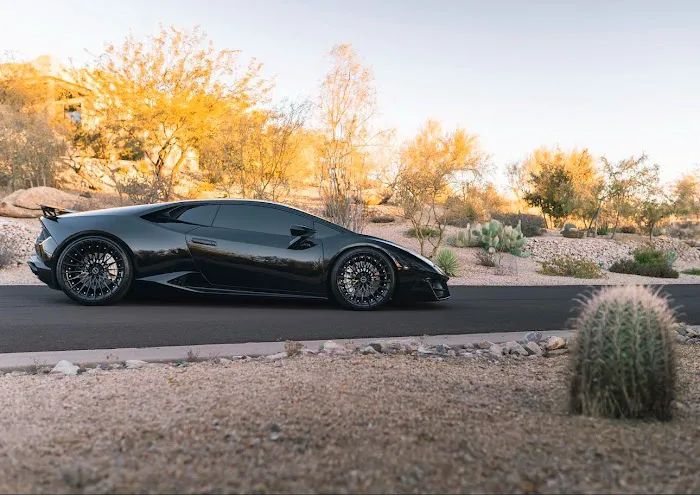 Desert Luxe Exotics Picture 10