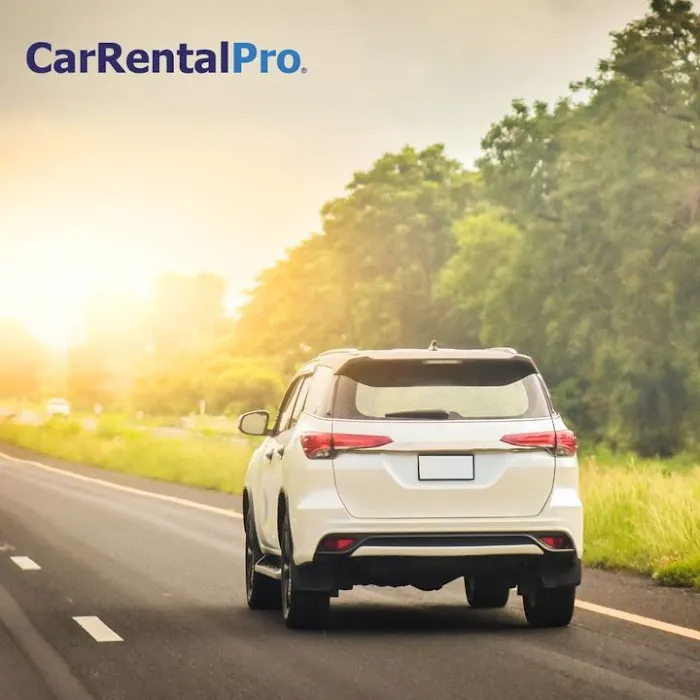 Car Rental Pro Picture 2