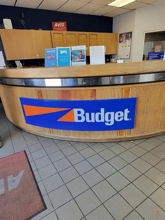 Budget Car Rental Picture 10