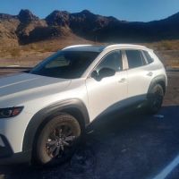 Avis Car Rental ico