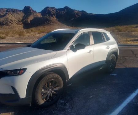 Avis Car Rental