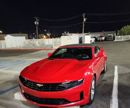 Alamo Rent A Car