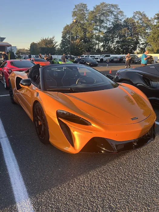 RNS Exotics Picture 8