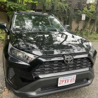 Avis Car Rental ico