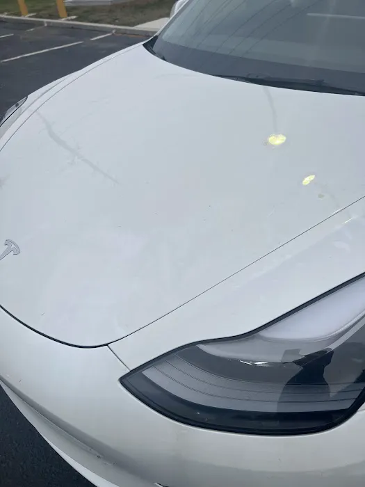 Budget Car Rental Picture 3