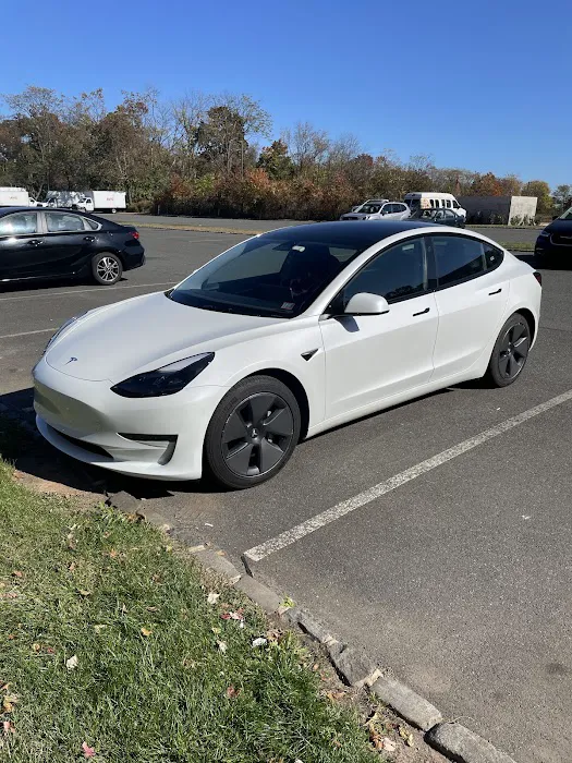 Avis Car Rental Picture 4