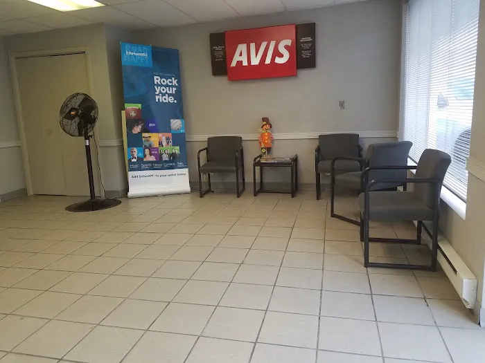Avis Car Rental Picture 4