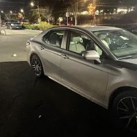 Avis Car Rental ico