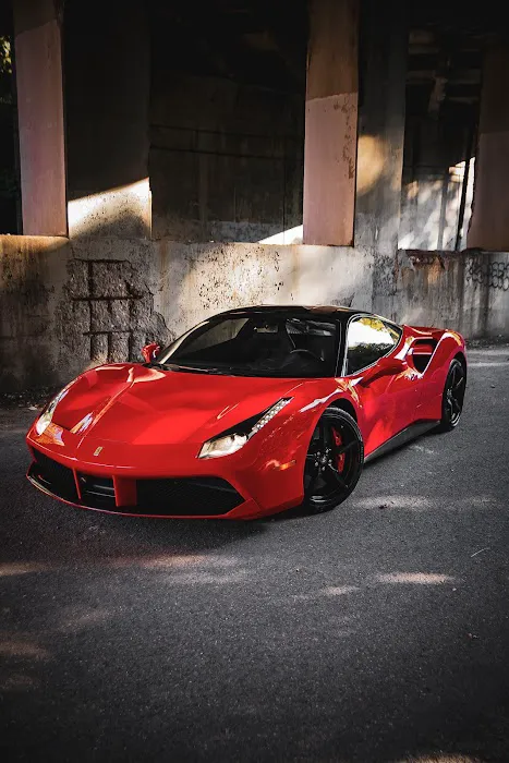 Veluxity Exotic Car Rental Picture 7