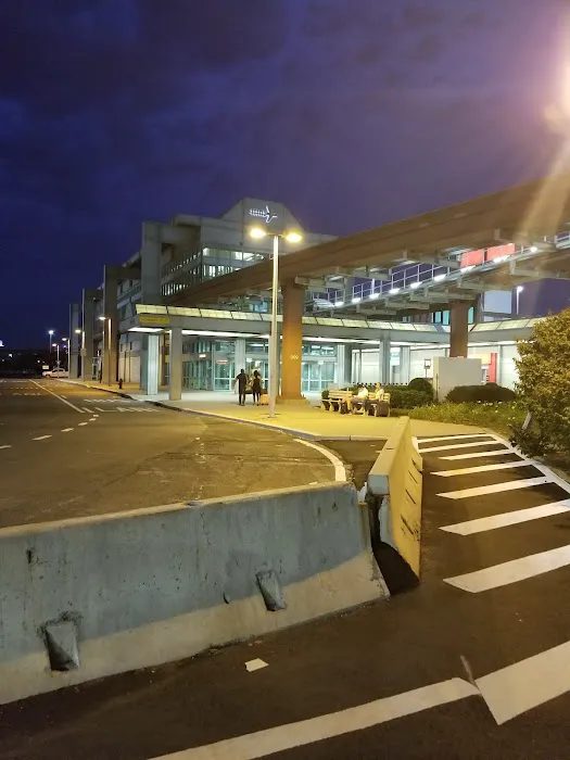 Payless Car Rental Picture 4