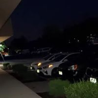 Avis Car Rental ico