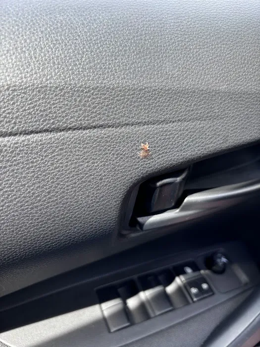 Avis Car Rental Picture 1