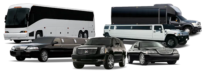 Cathay Express Transportation Picture 3
