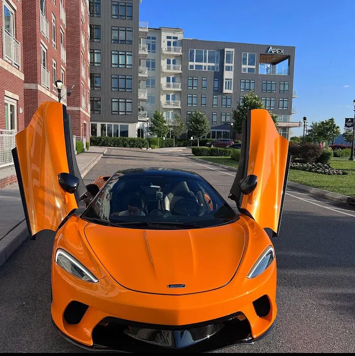 Grand luxury Rental Picture 6