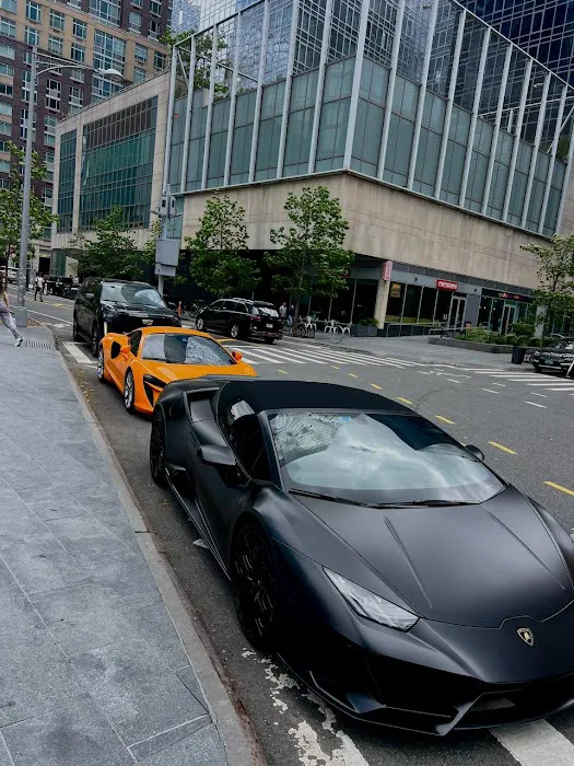 Grand luxury Rental Picture 5