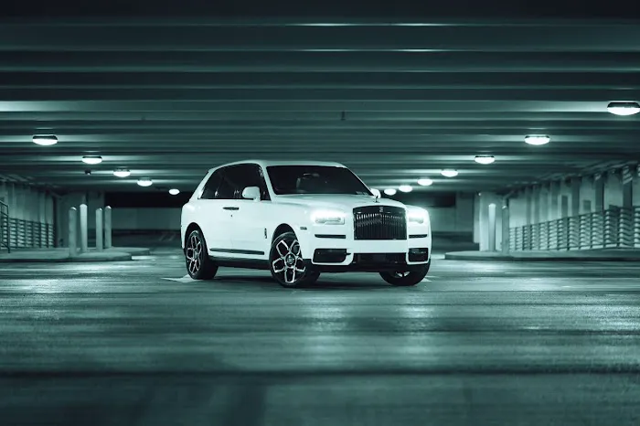 Grand luxury Rental Picture 7