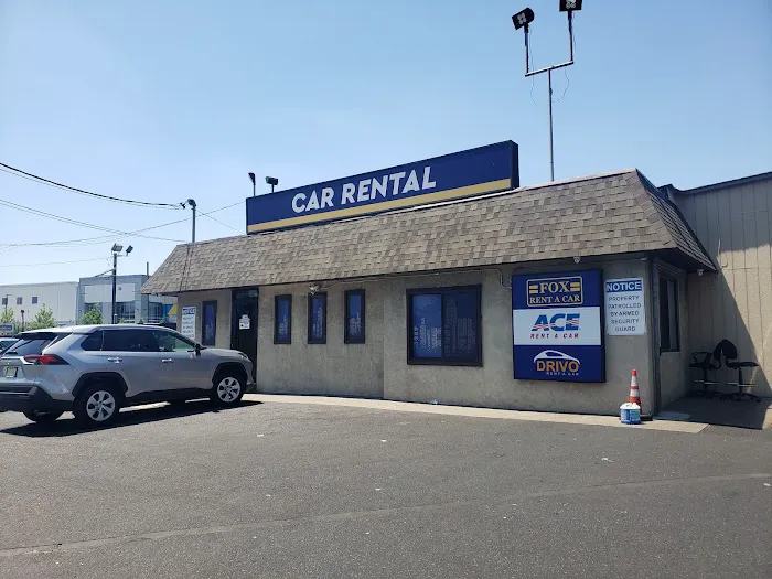 Drivo Rent A Car Picture 2