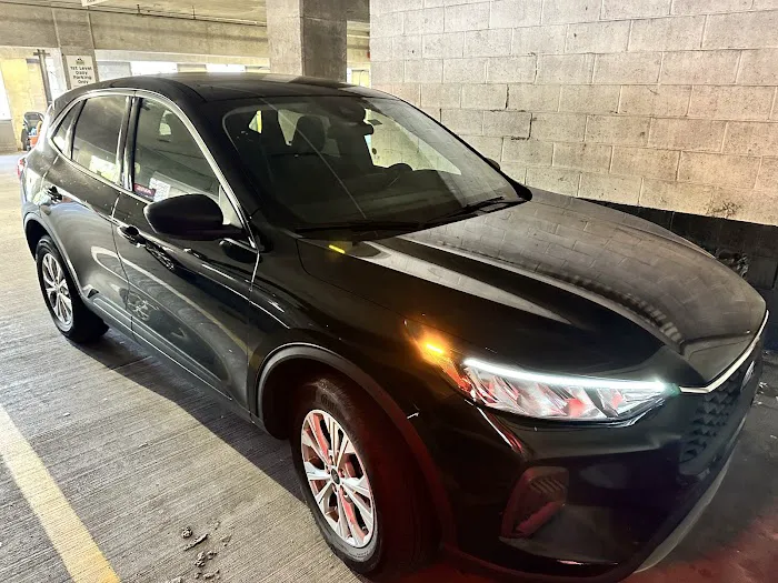 Avis Car Rental Picture 5