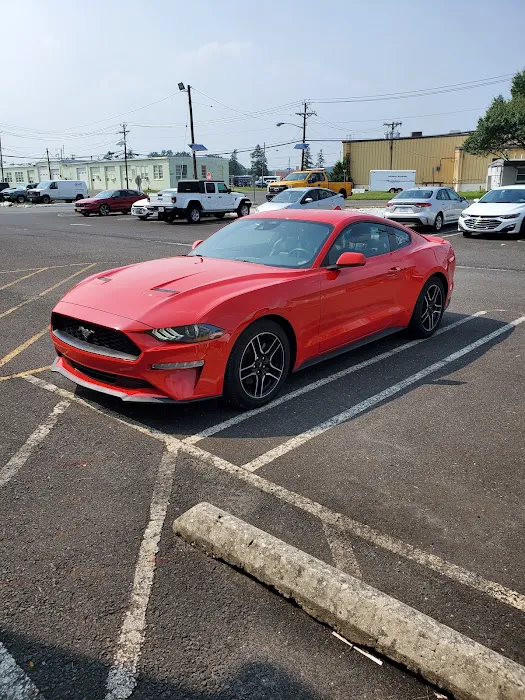 Avis Car Rental Picture 2