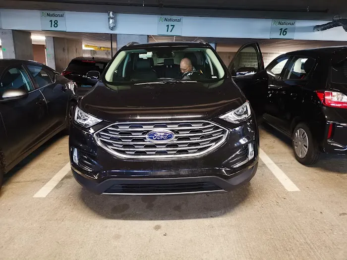 Alamo Rent A Car Picture 8