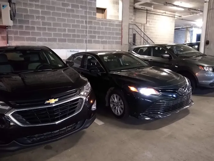 Alamo Rent A Car Picture 7
