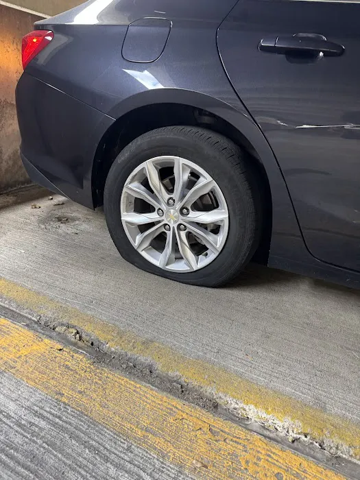 Avis Car Rental Picture 7