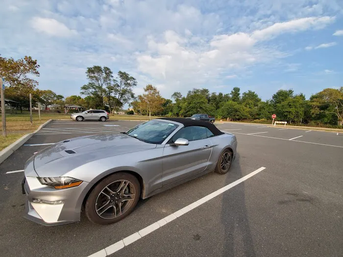 Avis Car Rental Picture 1