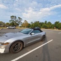 Avis Car Rental ico