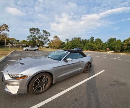 Avis Car Rental