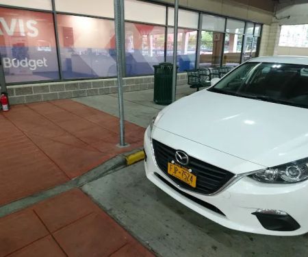 Avis Car Rental