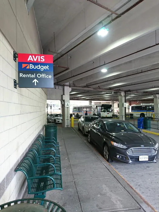 Avis Car Rental Picture 8