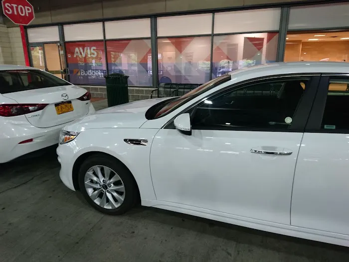 Avis Car Rental Picture 7