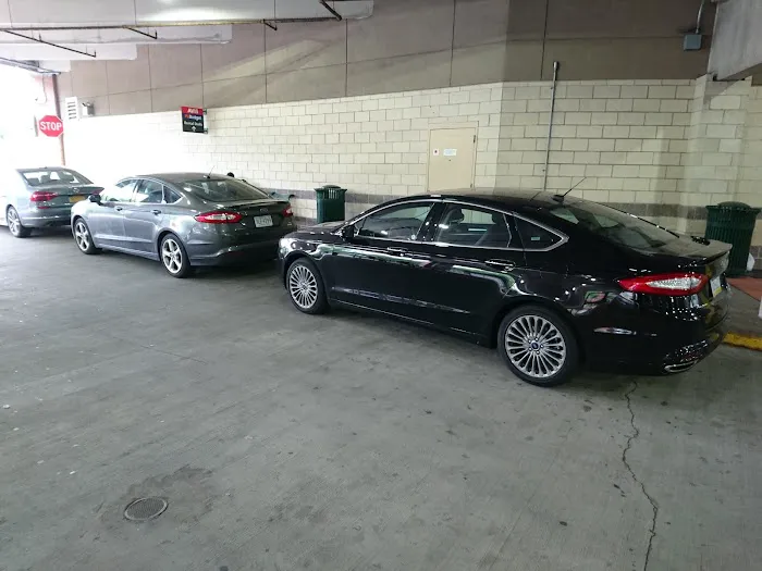 Avis Car Rental Picture 6