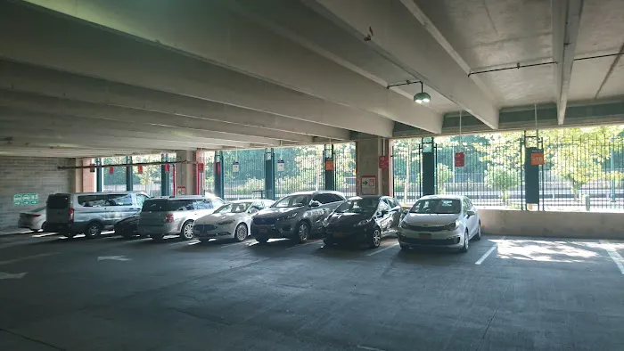 Avis Car Rental Picture 2