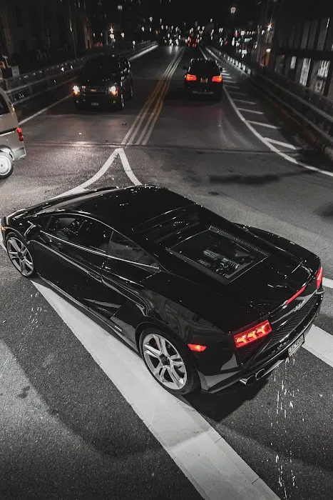 Veluxity Exotic Car Rental CT Picture 8