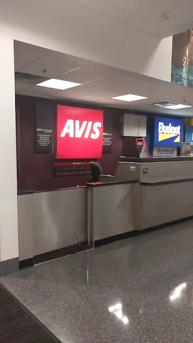 Avis Car Rental Picture 1