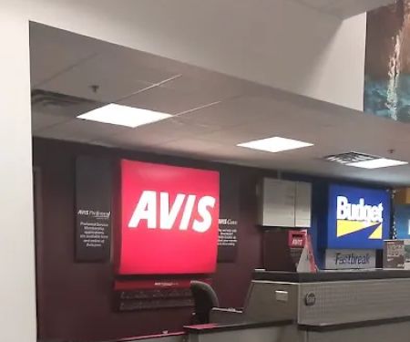 Avis Car Rental