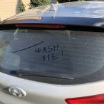 Avis Car Rental