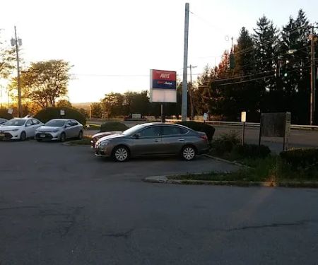Avis Car Rental